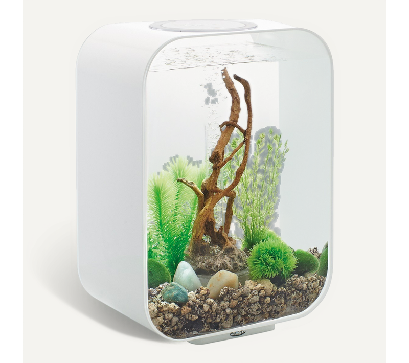 Aquarium Décoratif 15l Avec Cadre Blanc Life 15 Mcr White