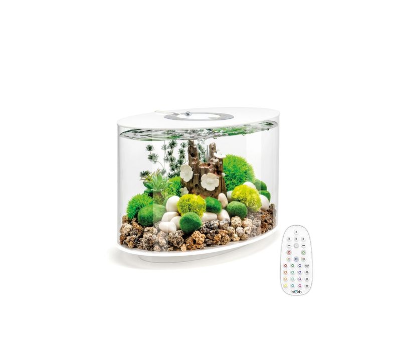Aquarium Long 15l Contours Blanc Loop 15 Mcr White