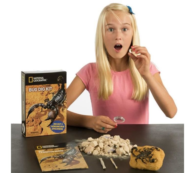 Kit De Fouille National Geographic 3 Insectes À Extraire