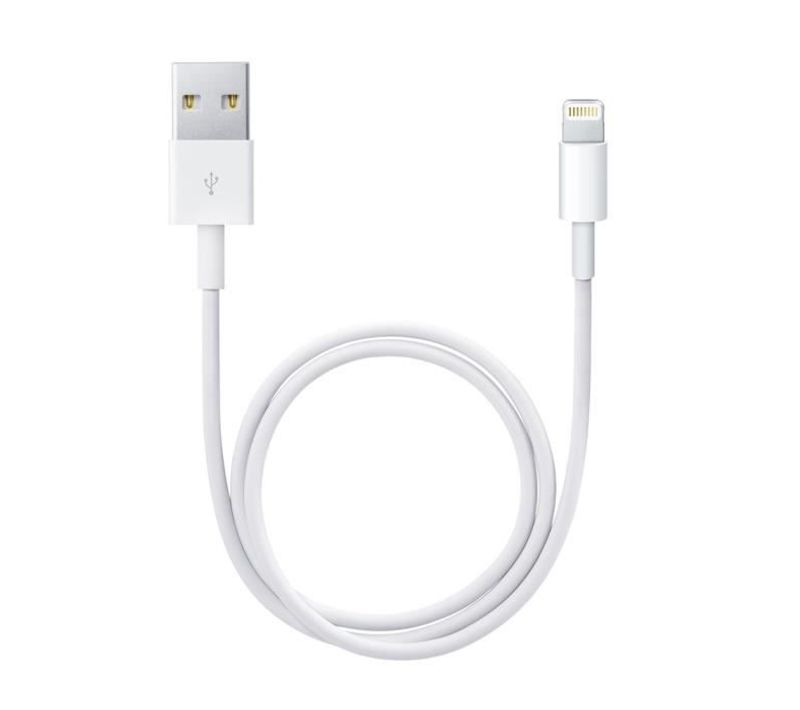 Câble Lightning Vers Usb (0,5 m)