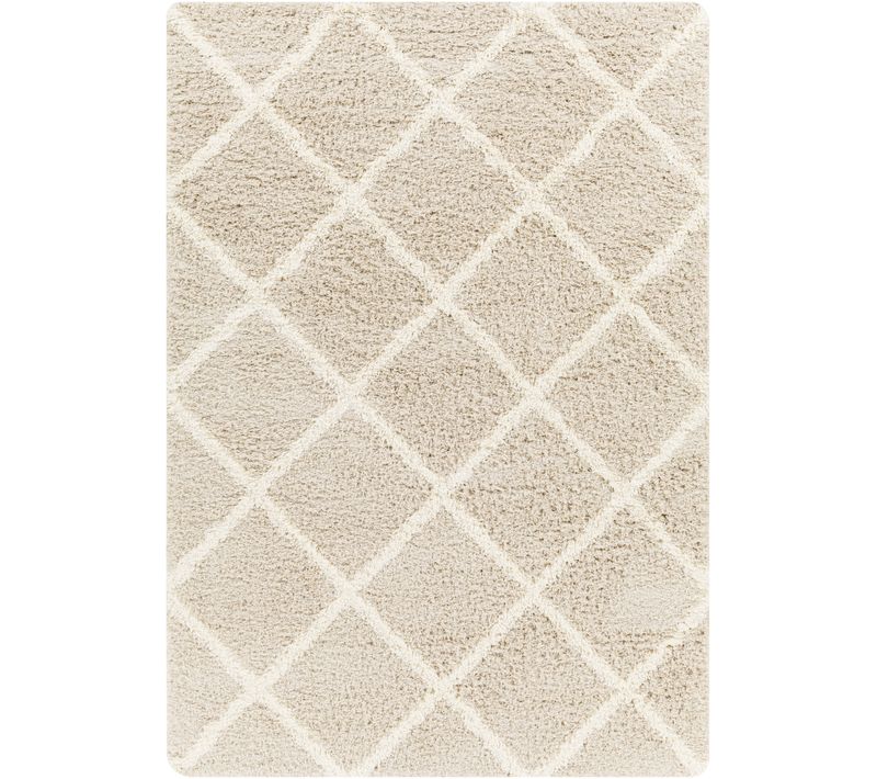 Tapis Shaggy Scandinave Bohème Blanc/beige 160x220 Cm Jane