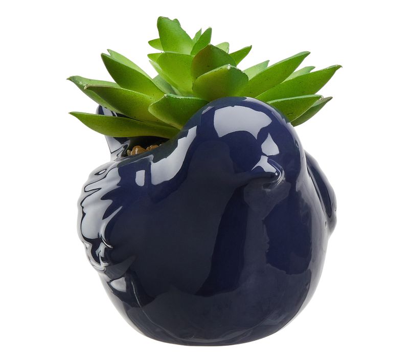 Plante grasse H. 10 cm UPTO Bleu
