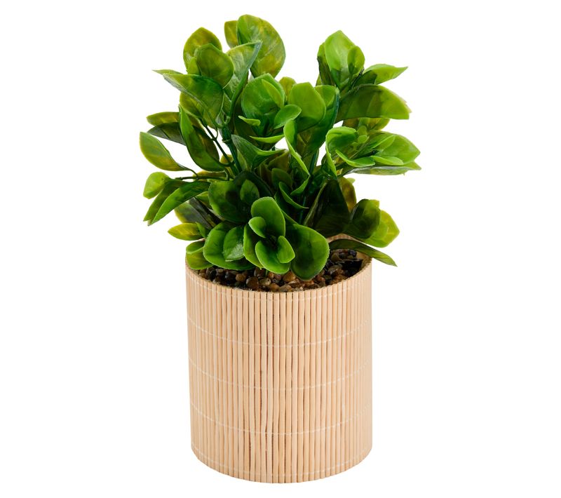 Plante artificielle naturelle VERA Beige