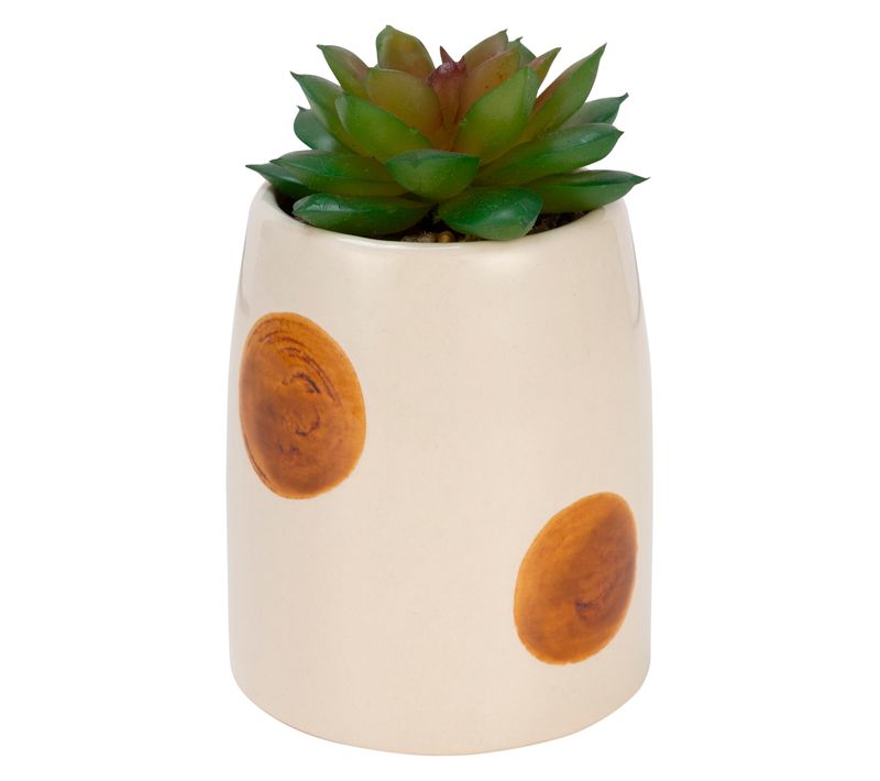 Plante pot à pois H. 11,5 cm VAPPI Vert