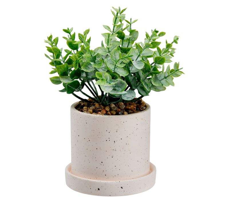 Pot eucalyptus H. 19 cm VISION Blanc