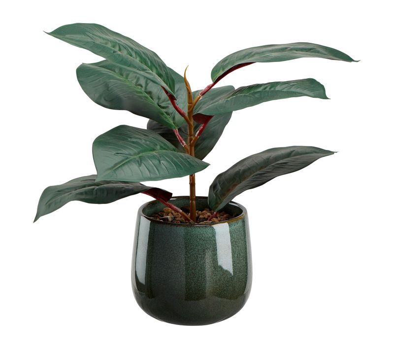 Plante et pot H. 36 cm VELISSI Vert