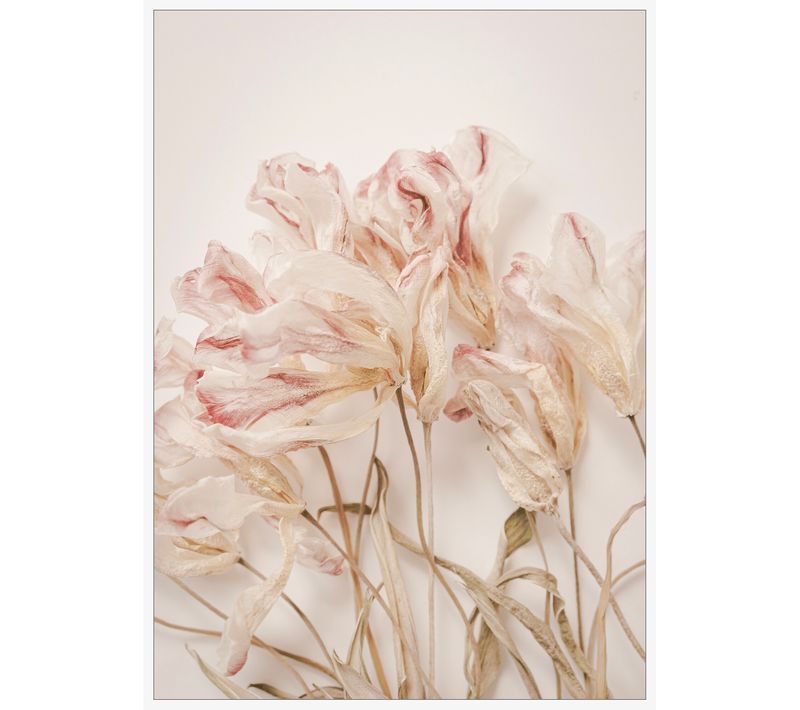 Toile fleurs 48x68 cm Azalis Rose
