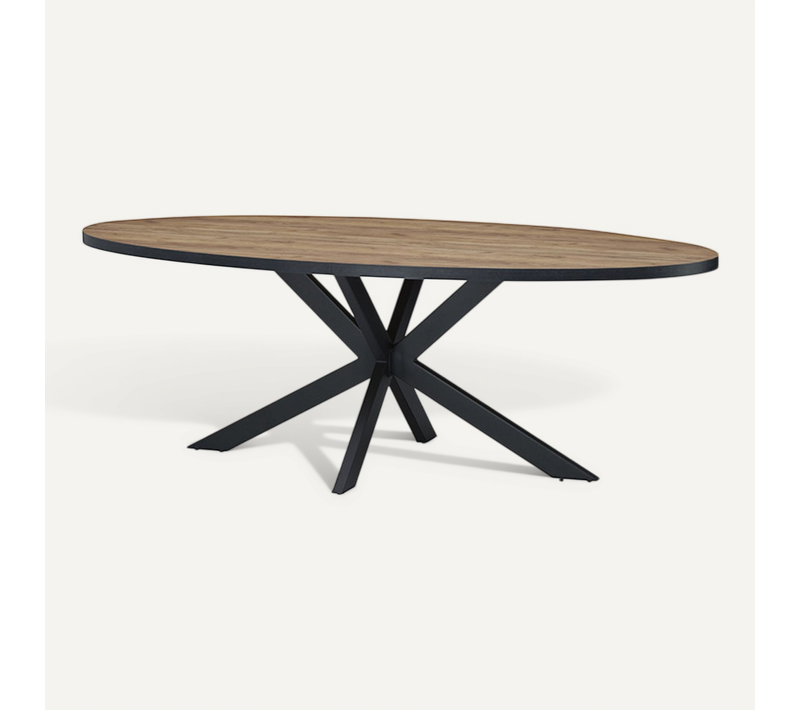 Table À Manger 220 X 110 Cm Ovale Pieds étoile Lio