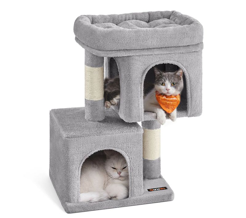 Arbre à Chat Tour De Jeux 67 Cm Maison Pour Chatons Jusqu’à 3 Kg Grande Plate-forme 2