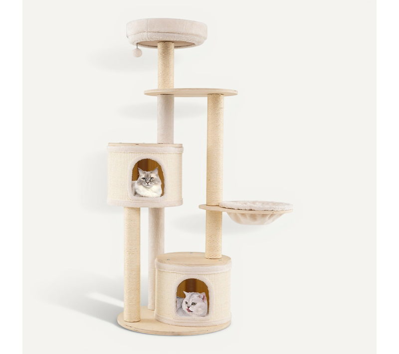 Arbre à Chat 58 X 152 Cm Avec 2 Condos Amovibles Et Hamac Cosy En Bois Naturel