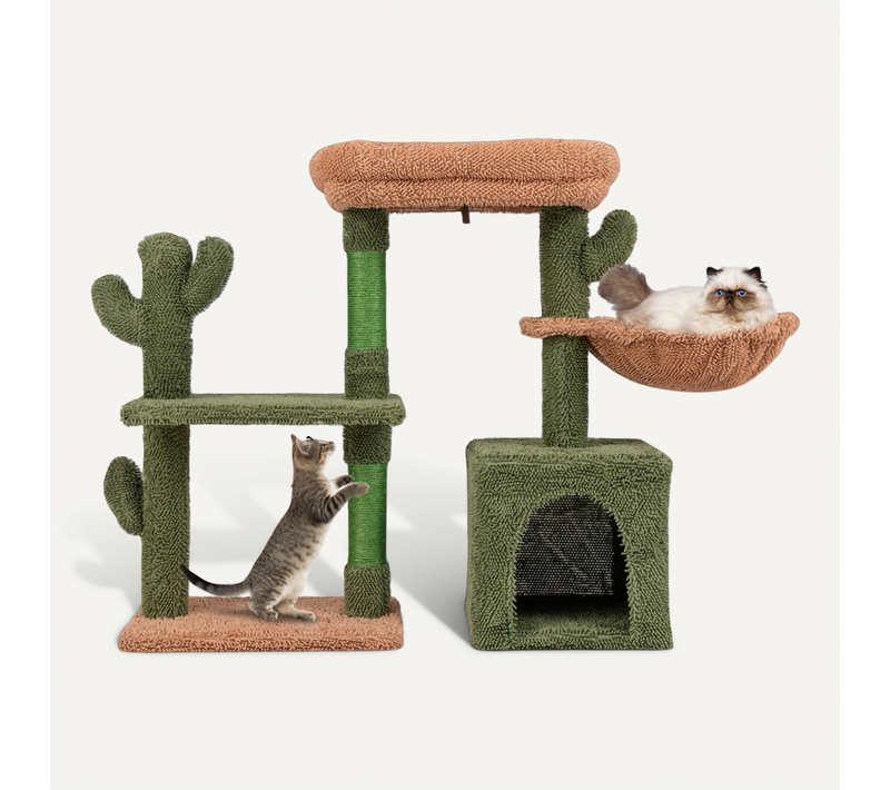 Arbre à Chat 90 X 31 X 81 Cm Design Unique En Cactus Avec 4 Niveaux Et Confort