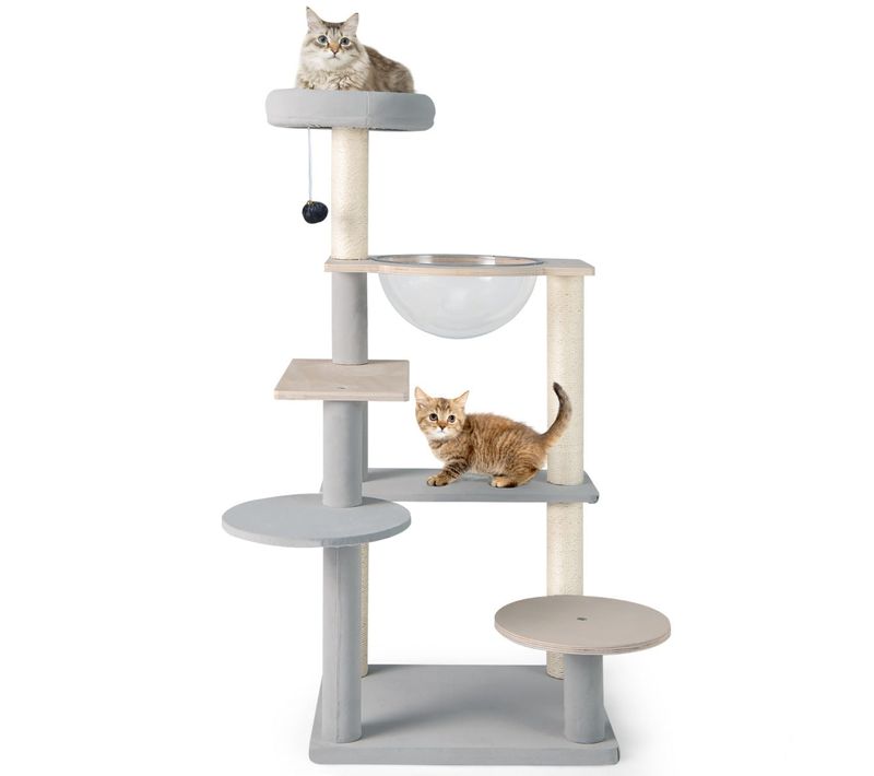 Arbre à Chat Moderne Multi-niveaux 113 X 50 X 40 Cm Avec Perchoir Amovible Et Poteaux