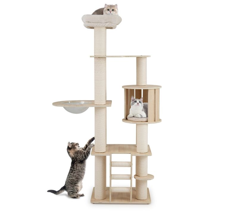 Arbre à Chat 60 X 48 X 185 Cm Stable Et Sécuritaire Avec Plusieurs Espaces De Repos