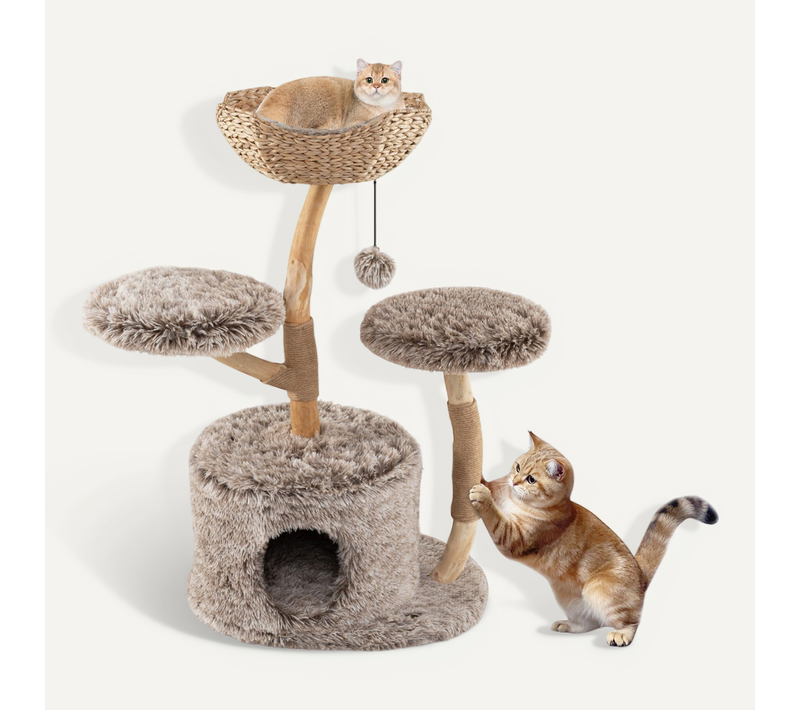 Arbre à Chat 60 X 105 Cm Avec 4 Niveaux Et Condo Sécurisé Moderne En Bois De Poirier