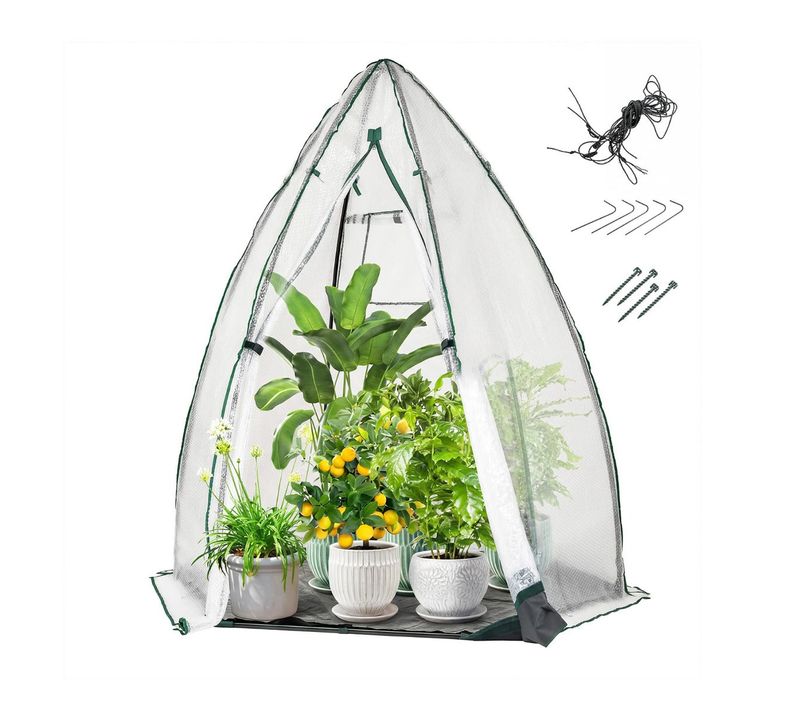 Mini Serre Portable Lot De 1 160 X 139 X 182 Cm Accès Facile Protection Météo Optimal