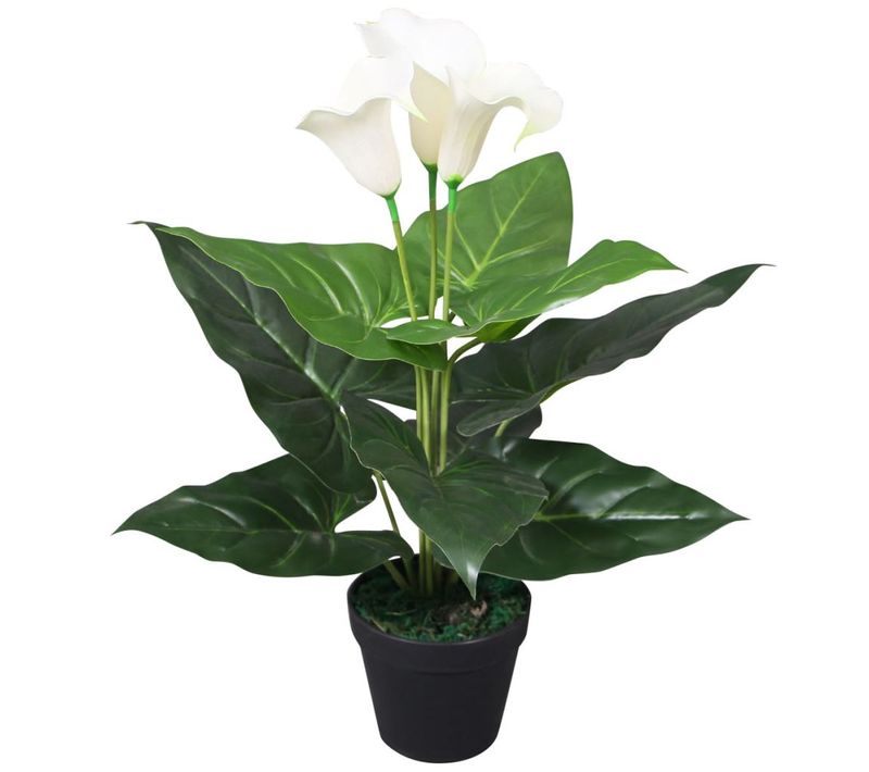 Plante Artificielle Avec Pot Lis Calla 45 Cm Blanc Dec021924
