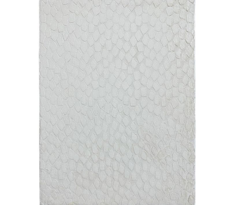 Tapis Salon à Relief Blanc Extra-doux 120x160