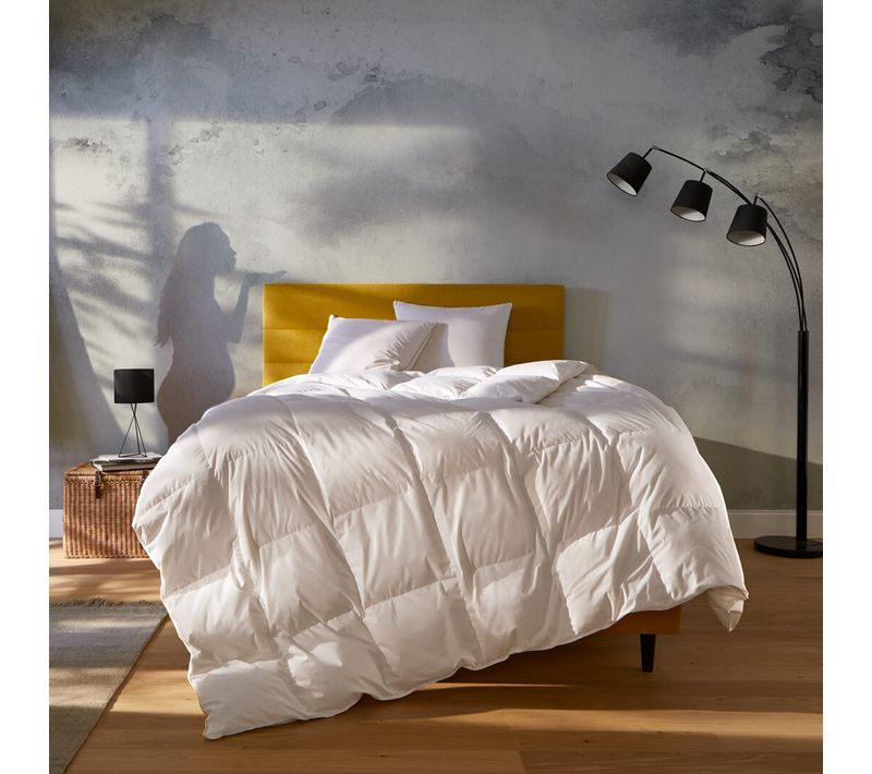 Couette tempérée 260x240cm NUIT FAUBOURG LUTETIA