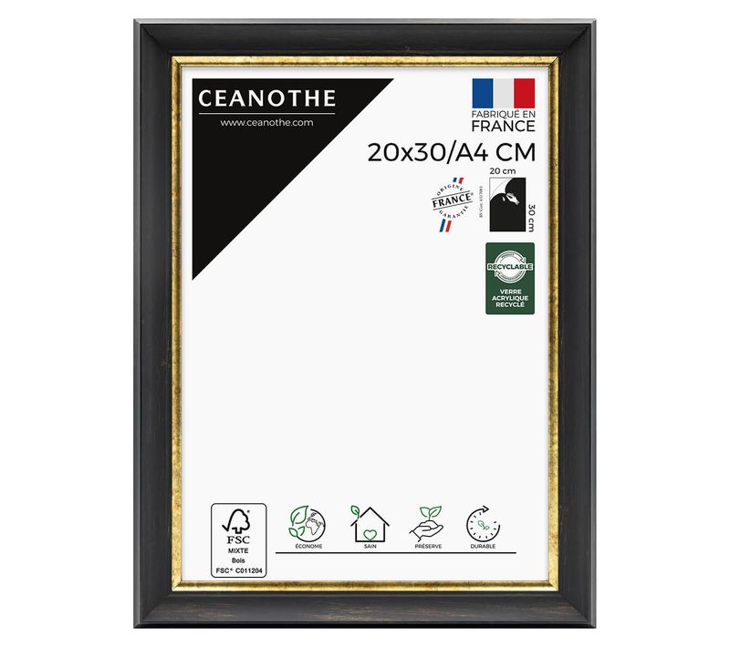 Cadre Photo Pandore Noir Doré 20x30/a4 Cm Doré Résine Recyclée