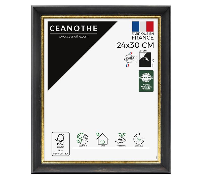 Cadre Photo Pandore Noir Doré 24x30 Cm Doré Résine Recyclée