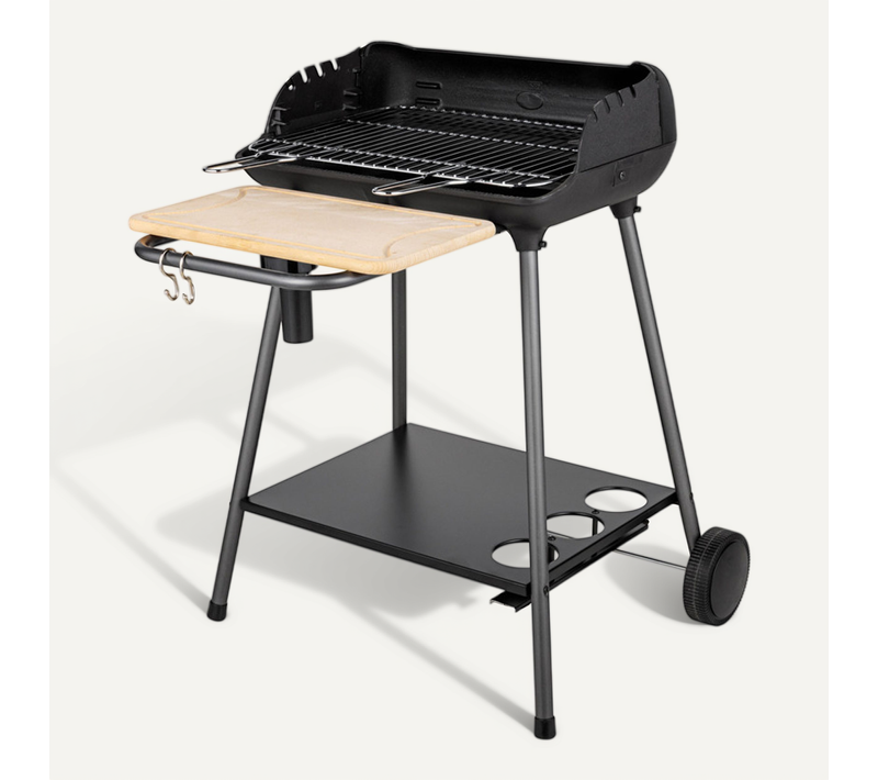 Barbecue Au Charbon De Bois Bergamo