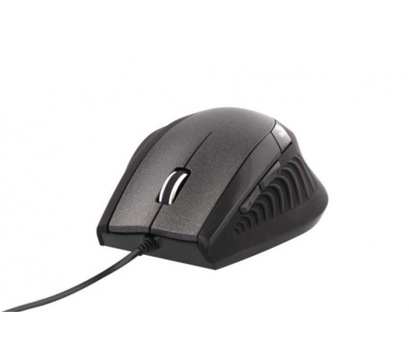 Souris Ergo Souris Usb Type-a Optique 1600 Dpi