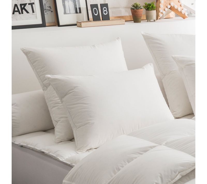 Oreiller 50% Duvet Eco-responsable Ferme 40 X 60 Cm Blanc