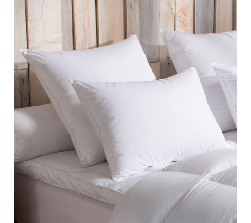 Oreiller 90% Duvet D'oie Medium 60 X 60 Cm Blanc