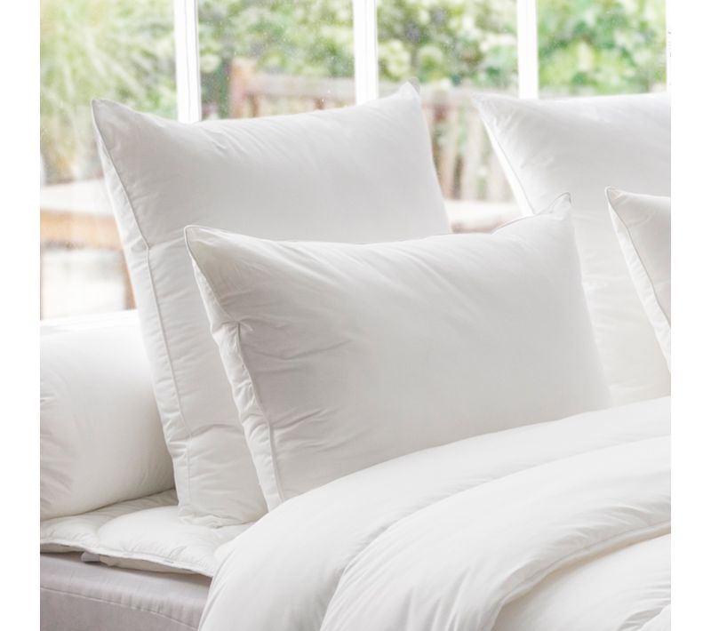Oreiller Thermoduv 70% Duvet D'oie Medium 65 X 65 Cm Blanc