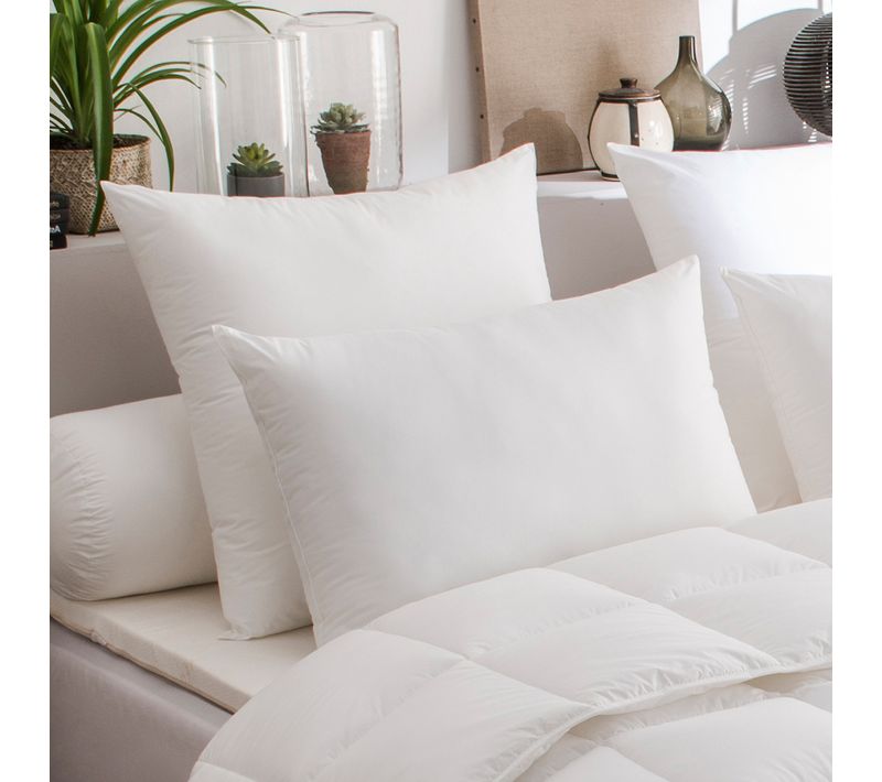 Oreiller Acarina Anti-acariens Medium 60 X 60 Cm Blanc