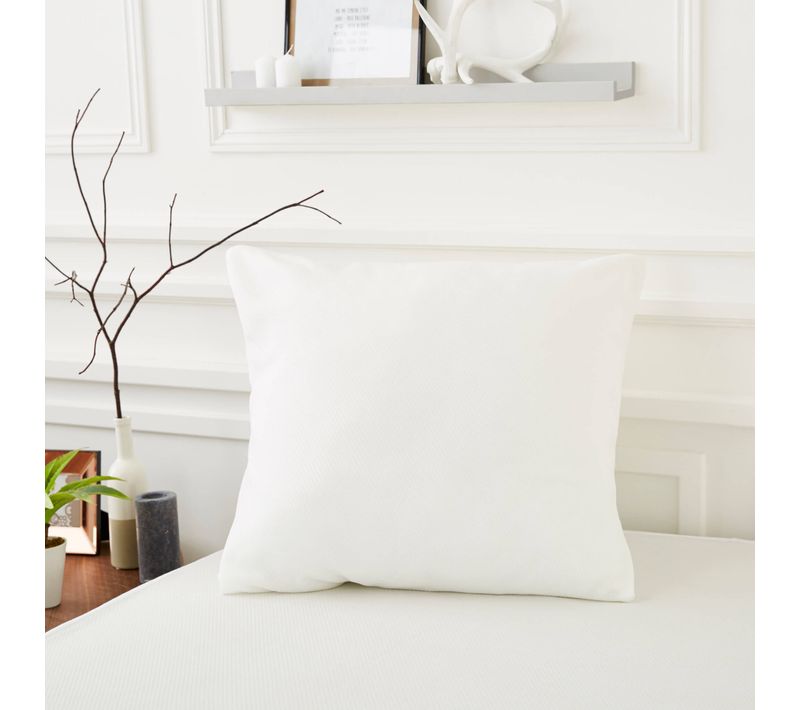 Protège Oreiller Antiacariens Anti-punaises