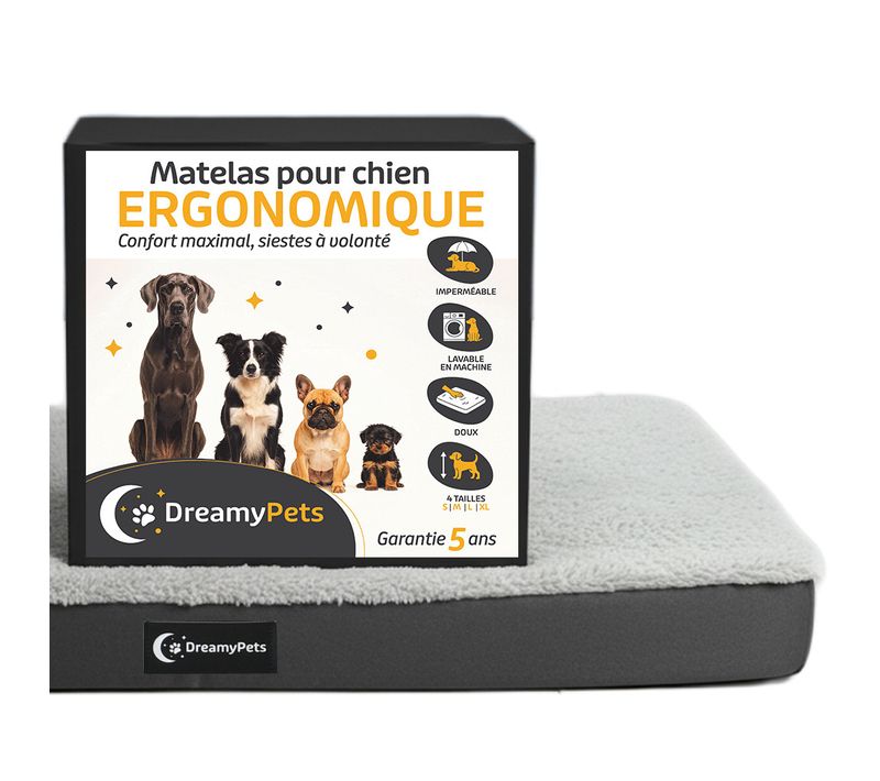 Panier / Tapis Pour Chien - Coussin Imperméable - Matelas Déhoussable Et Lavable - 76×51 Cm