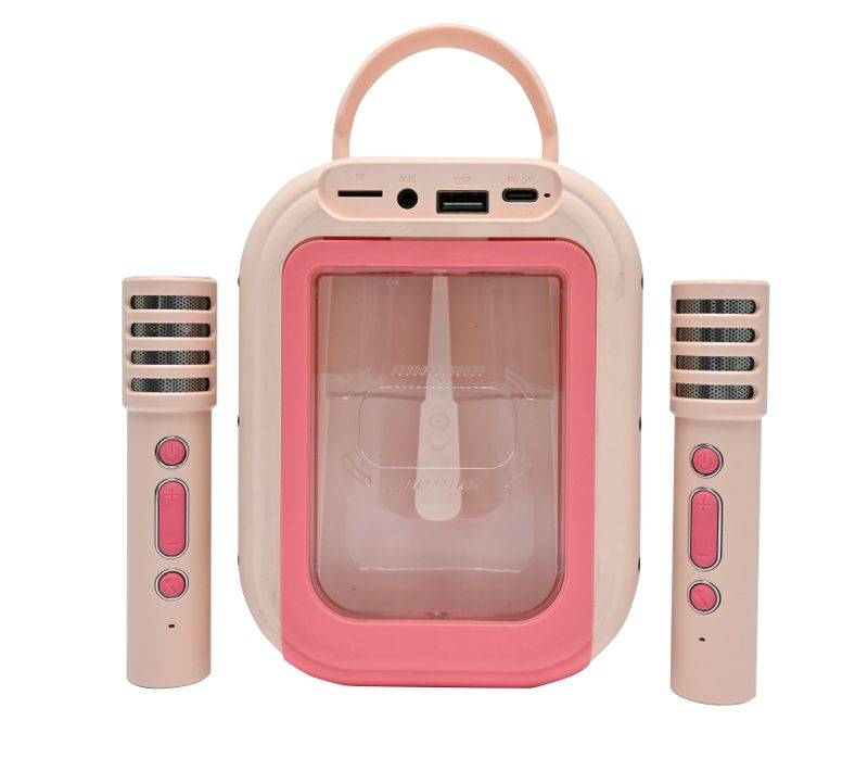 Karaoke Bluetooth Rose Avec 2 Micros Sans Fil