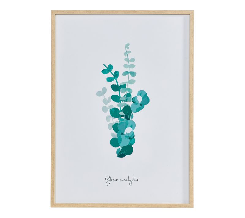 Image 50x70 cm EUCALYPTUS VERT Blanc / Vert / Naturel