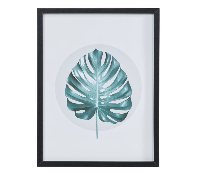 Image 30x40 cm FEUILLE MONSTERA Noir