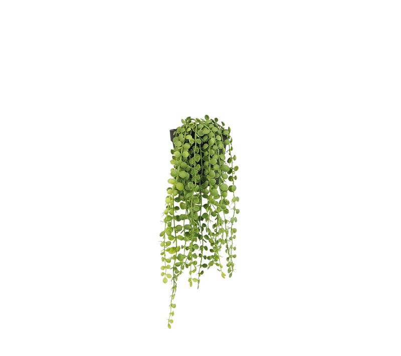 Plante Succulente Retombante Artificielle 40cm