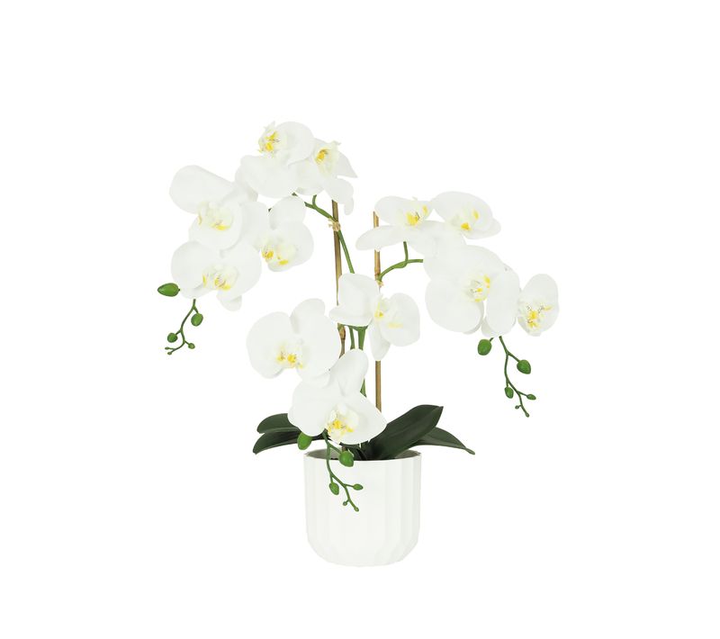 Orchidees Artificielles Toucher Naturel Blanc 52cm