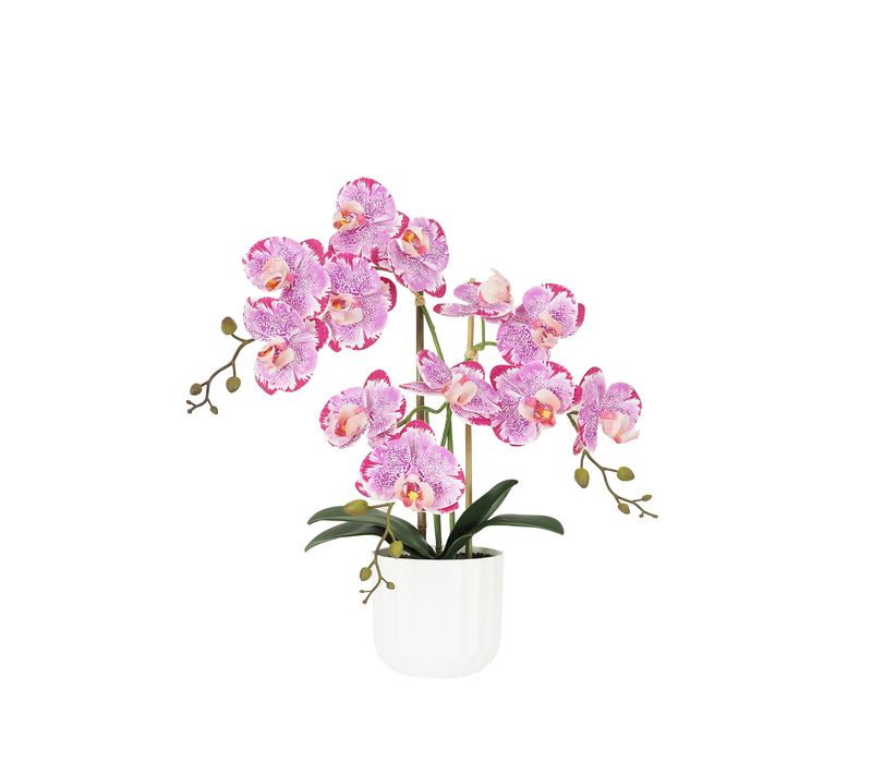 Orchidee Artificielle Fuchsia Mouchetee 50cm