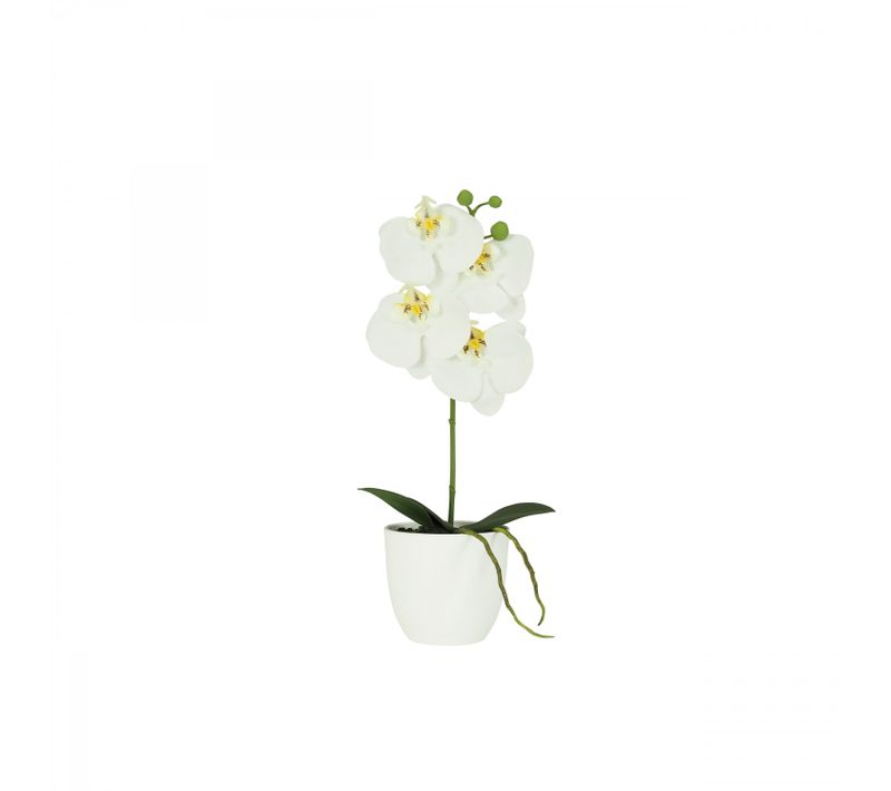 Orchidee Artificielle Blanche 35cm