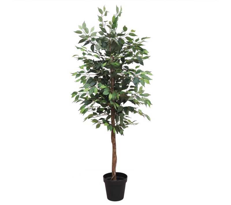 Ficus Artificiel Vert 180cm