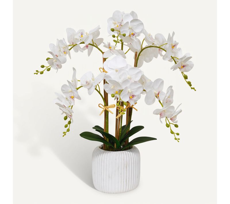 Orchidée 6 branches H. 67 cm KLEA Blanche