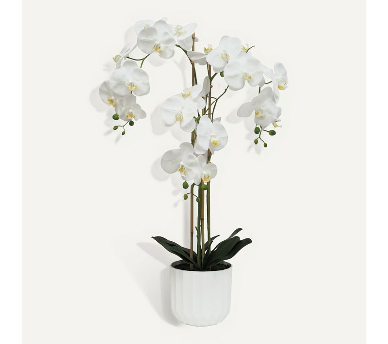 Orchidée H. 100 cm SARAH Blanc
