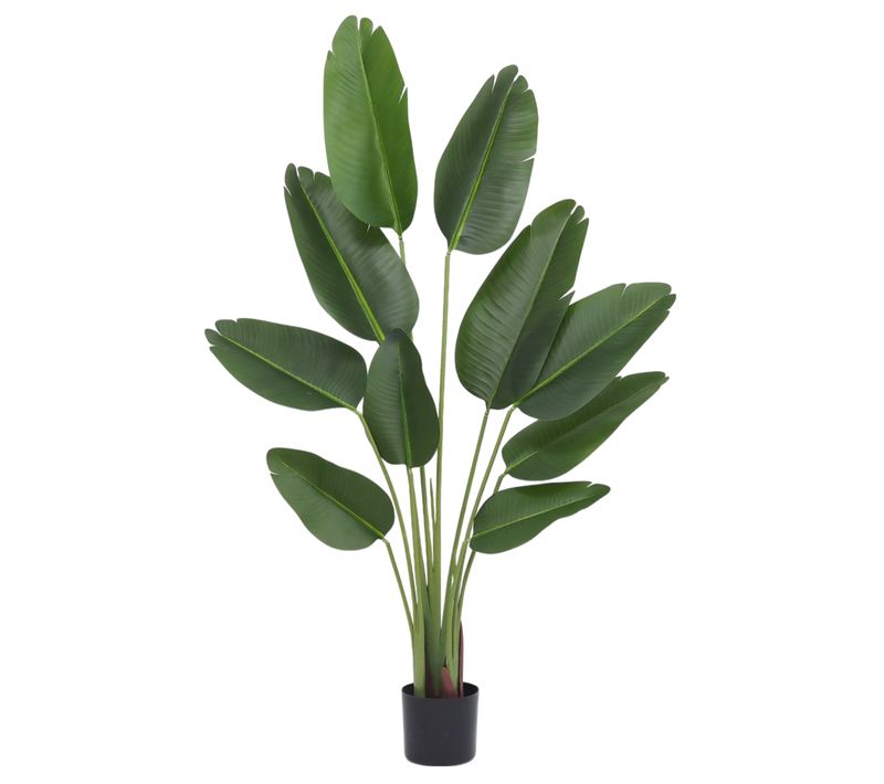 Plante Artificielle Oiseau Du Paradis Toucher Naturel 160cm