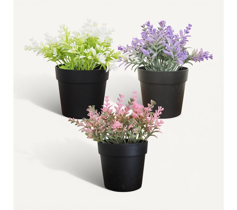 Feuillage H. 16 cm - Rose, blanc ou violet