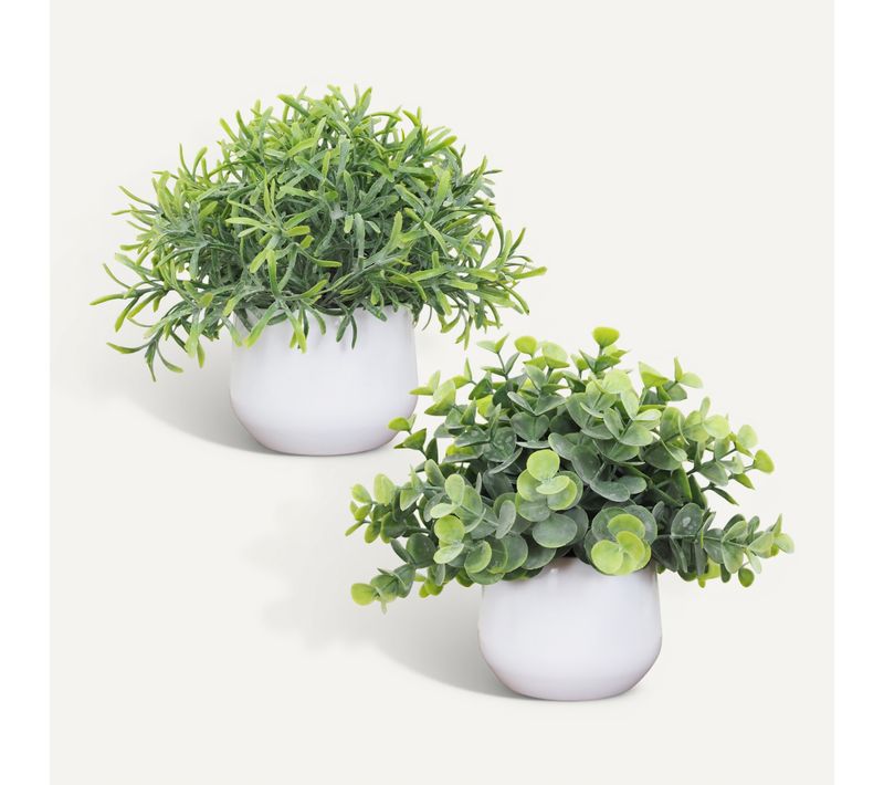 Feuillage succulente H. 18 cm - Eucalyptus ou succulente
