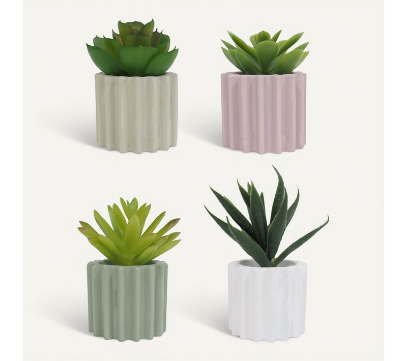 Succulente H. 6,5 cm ZOE Divers modèles