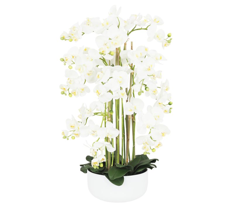 Orchidee Artificielle 80cm