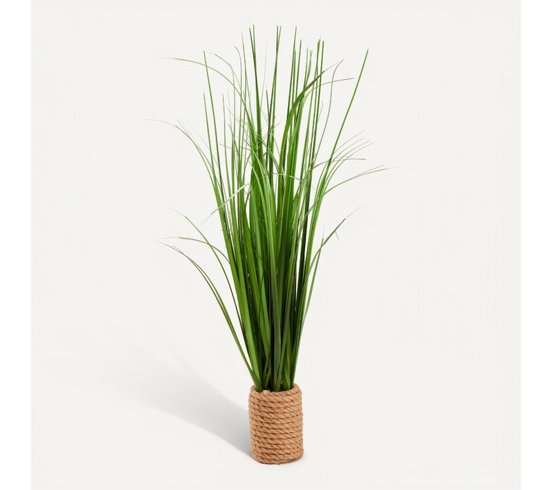 Graminés pot corde H. 65 cm Vert