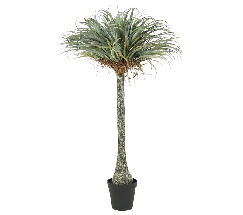 Yucca Artificiel 180cm
