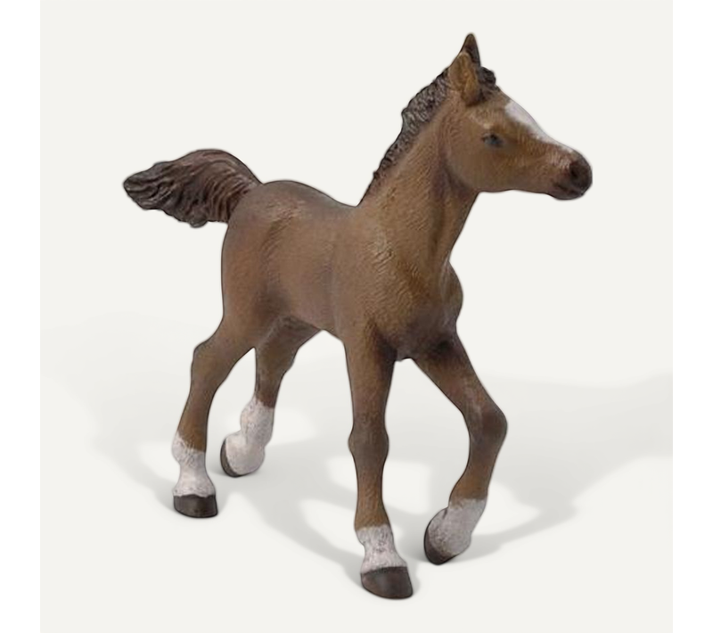 Figurine De Cheval Anglo-arabe Papo - Collection De Chevaux En Plastique